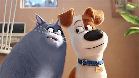 rule 34 the secret life of pets|The.